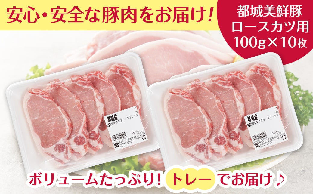 都城美鮮豚ロースカツ用10枚セット_AA-5402
