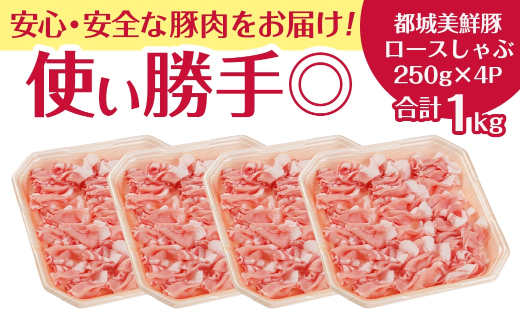都城美鮮豚ロースしゃぶしゃぶ1kg(250g×4パック)_AA-5408