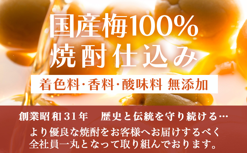 梅酒にひとめぼれ 2.7L×1本 ≪みやこんじょ特急便≫_AA-6702