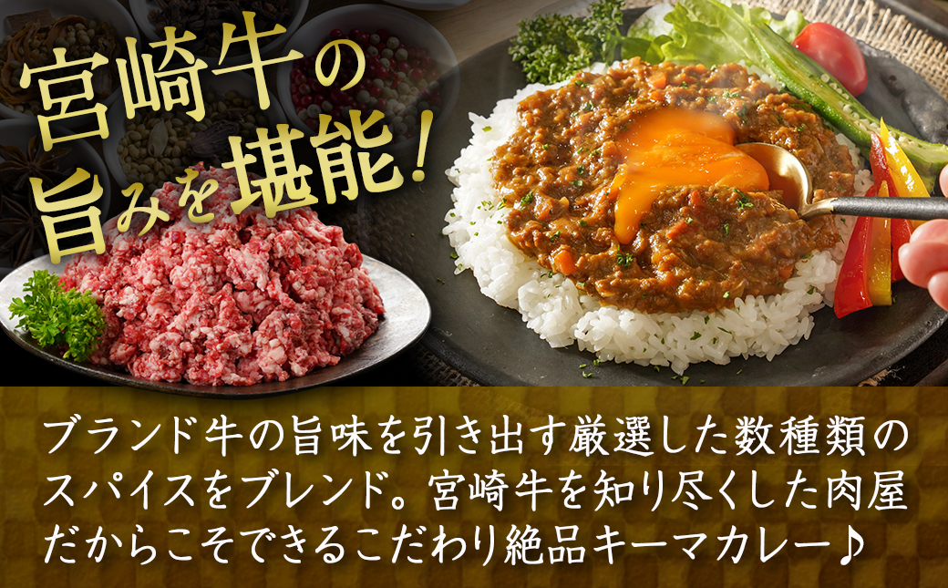 絶品!焼き肉屋の宮崎牛キーマカレー(中辛)_AA-7707