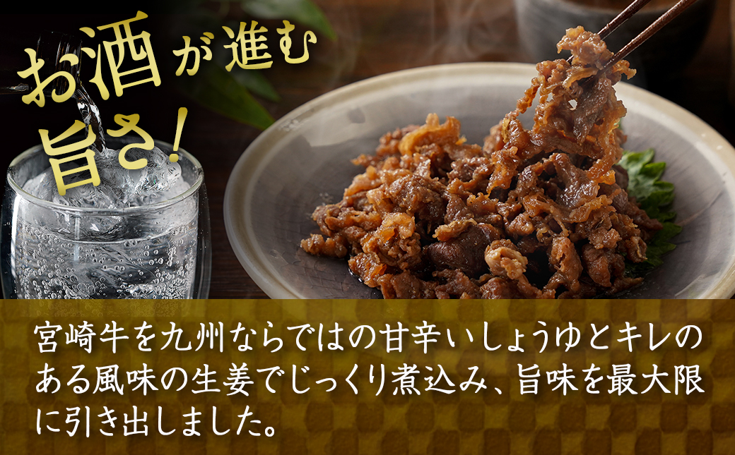 じっくり煮込んだ!宮崎牛しぐれ煮_AA-7708