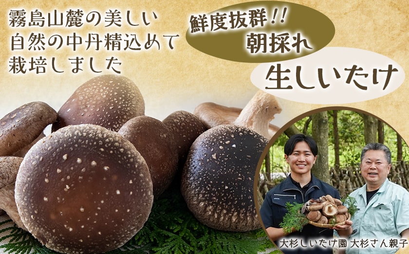 朝採れ肉厚生しいたけと特製みそだれ_AA-8701