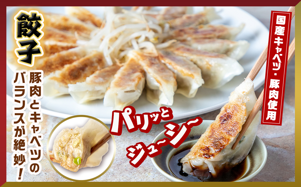 餃子&「観音池ポーク」プレーン・チーズメンチカツのセット_AA-9231