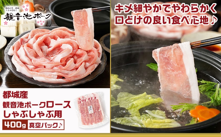 観音池ポークしゃぶ2種&宮崎県産豚切り落とし【総重量1.4kg】_AA-9233