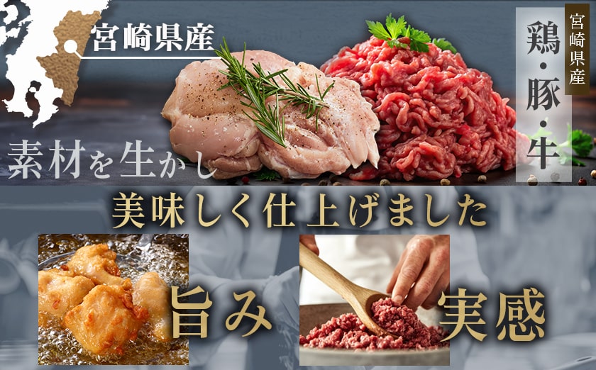 一口チキン南蛮&和牛入り合挽ハンバーグセット_AA-9236