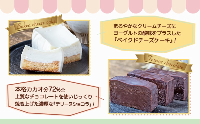 ベイクドチーズケーキ＆濃厚テリーヌショコラセット_AA-C219