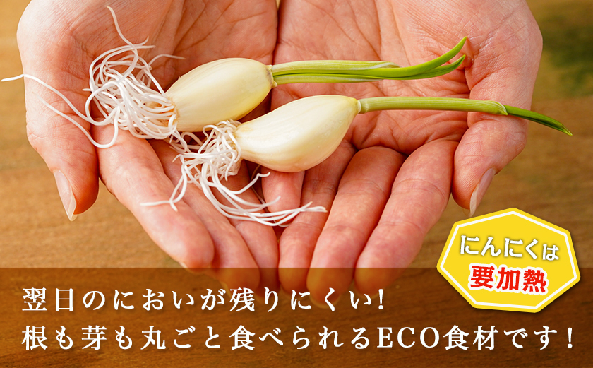 きくらげの佃煮とつまみにんにくのセット_AA-C903