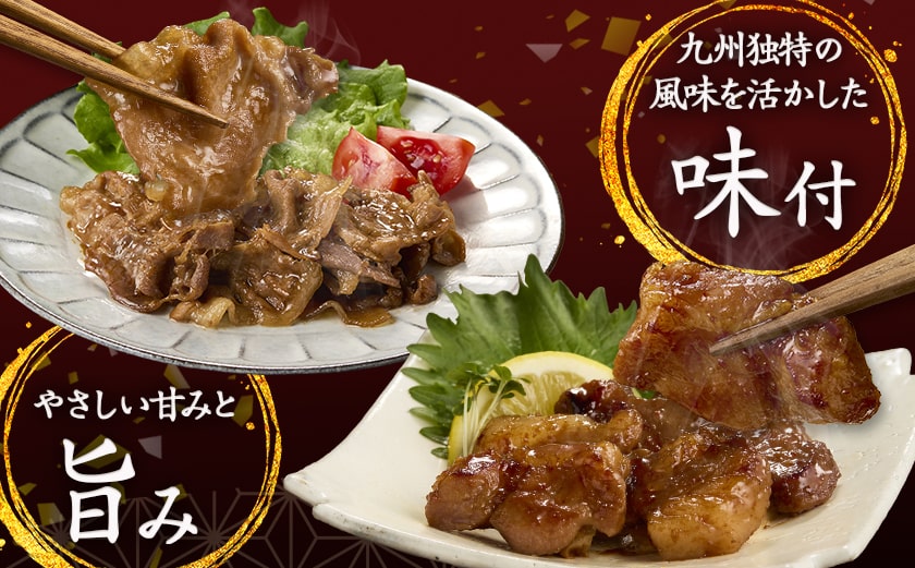 豚肉食べ比べ!九州甘口漬け込み(たれ・味噌)セット_AA-F208