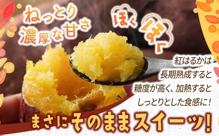 都城産 長期熟成紅はるか 5kg_AA-I202