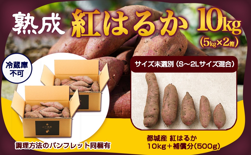 【農家直送】山下農園　熟成紅はるか 10kg_AA-I705