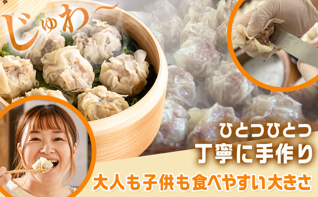 手作り☆牛・豚・鶏しゅうまい&鶏塩焼きセット_AA-L902