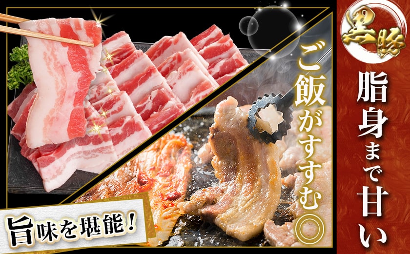 黒豚バラ焼肉用500g&ポークソーセージセット_AA-N402