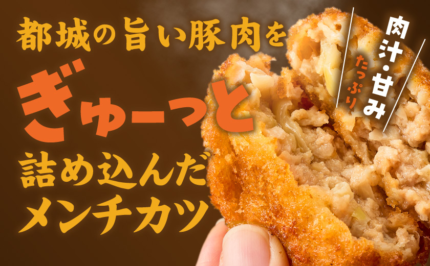 福ちゃんメンチカツ12個セット_AA-N502