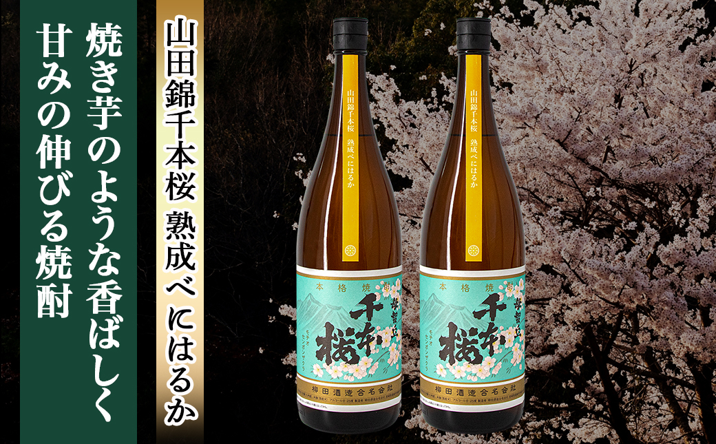 【柳田酒造】山田錦千本桜 熟成べにはるか(25度)1.8L×2本 ≪みやこんじょ特急便≫_AC-0750