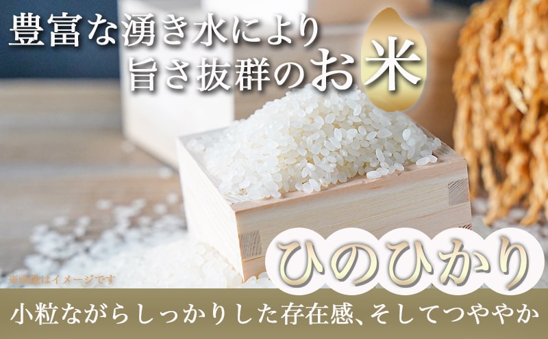 都城産ひのひかりギフトBOX (450g×6個)_AC-2203