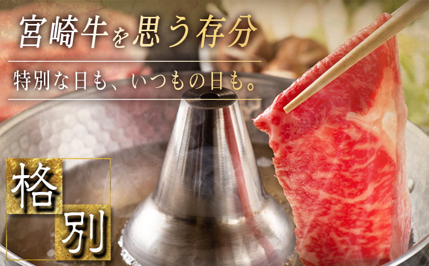 宮崎牛モモ・ウデ切り落とし1kg_AC-2520_【肉 牛肉 切り落とし 焼き肉 焼肉 スライス すき焼き しゃぶしゃぶ 人気 おすすめ 国産】