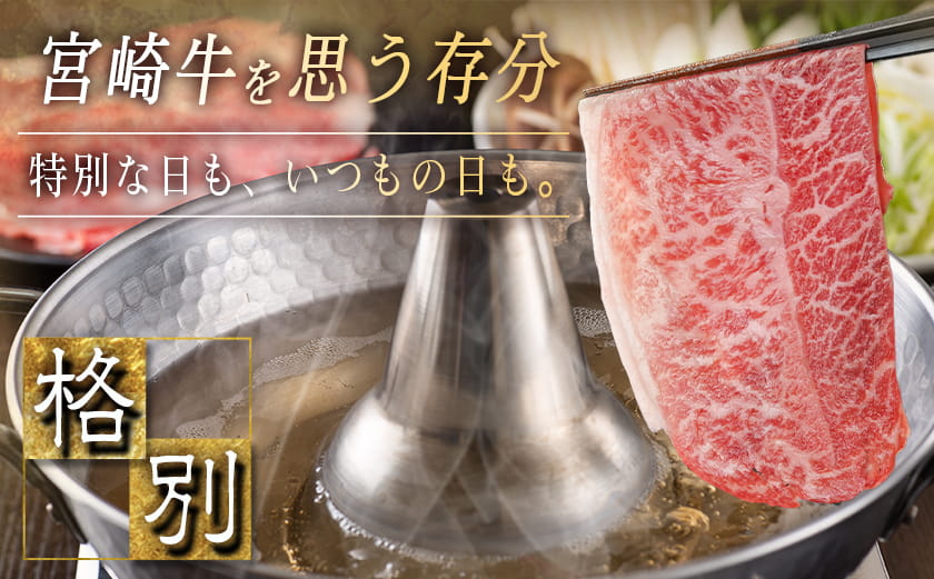 宮崎牛ウデ・モモスライス1kg_AC-2525