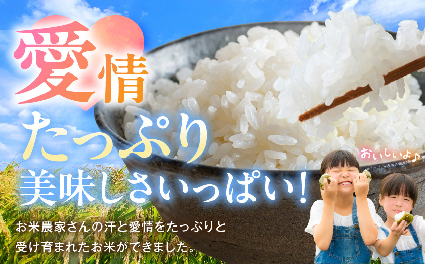 都城産米と国産米ブレンド 10kg≪みやこんじょ特急便≫_AC-33-001-10kg-Q