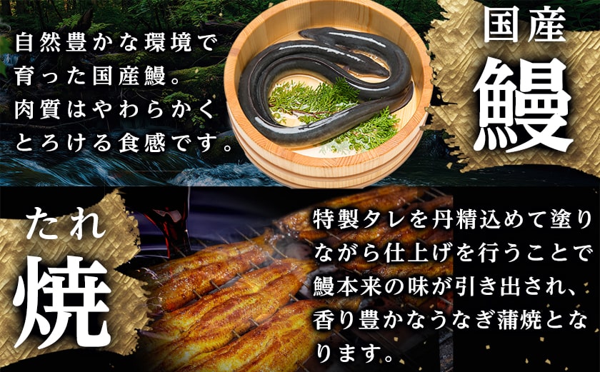 大満足の夢コラボ☆うなぎ&厚切り牛タンセット_AC-3308