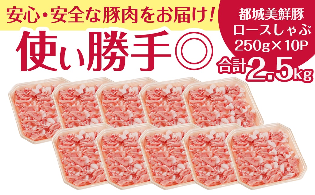 都城美鮮豚ロースしゃぶしゃぶ2.5kg(250g×10パック)_AC-5405