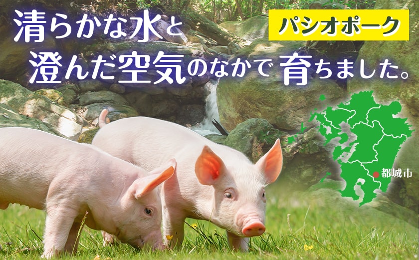 パシオポークバラしゃぶしゃぶ2.5kg(250g×10パック)_AC-5406