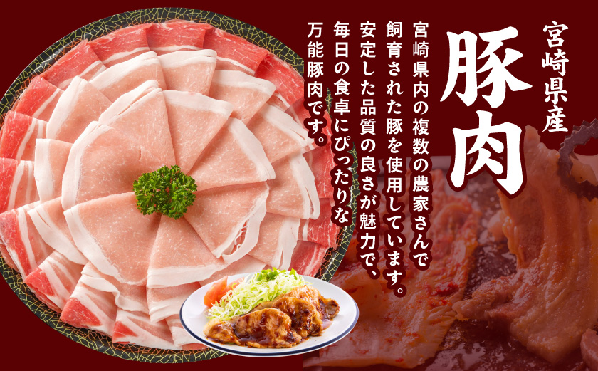 宮崎県産豚わくわく4.1kgセット(真空)≪みやこんじょ快速便≫_AC-8403-s-R