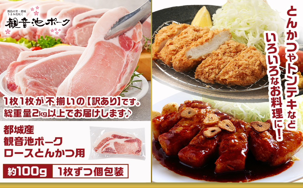 観音池ポークロースとんかつ用【訳あり】&スペアリブ4.4kg_AC-9219