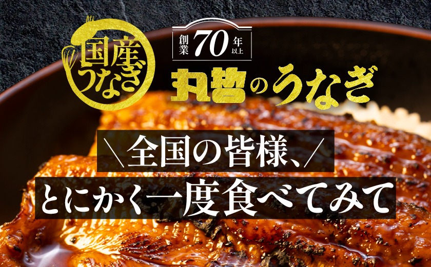 【父の日】宮崎県育ちのうなぎ蒲焼3尾500g以上≪山椒・たれ付≫≪6月18日～21日お届け≫_AC-M301-FG