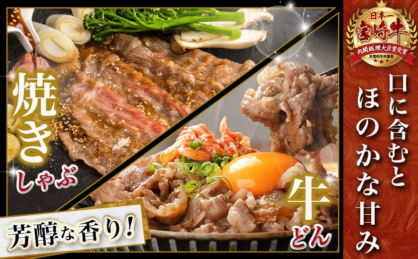 宮崎牛と黒豚+ポークソーセージの詰め合わせセット_AC-N4-001