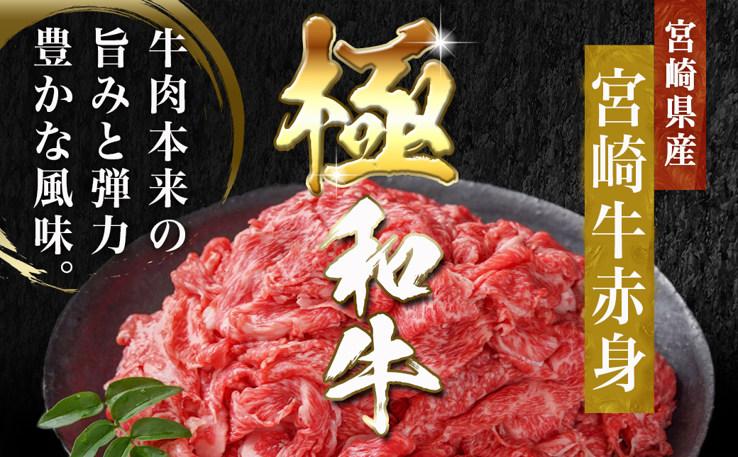 宮崎牛赤身切り落とし(500g×2P)_AC-N403_【肉 牛肉 切り落とし 焼き肉 焼肉 スライス すき焼き しゃぶしゃぶ 人気 おすすめ 国産】