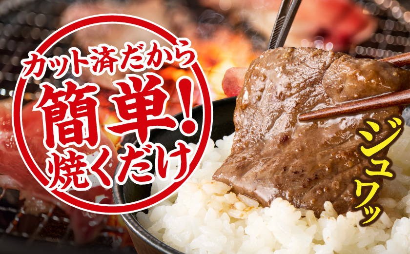 宮崎牛焼肉のたれ漬け!!大容量パック1.2kg!!_AC-N503