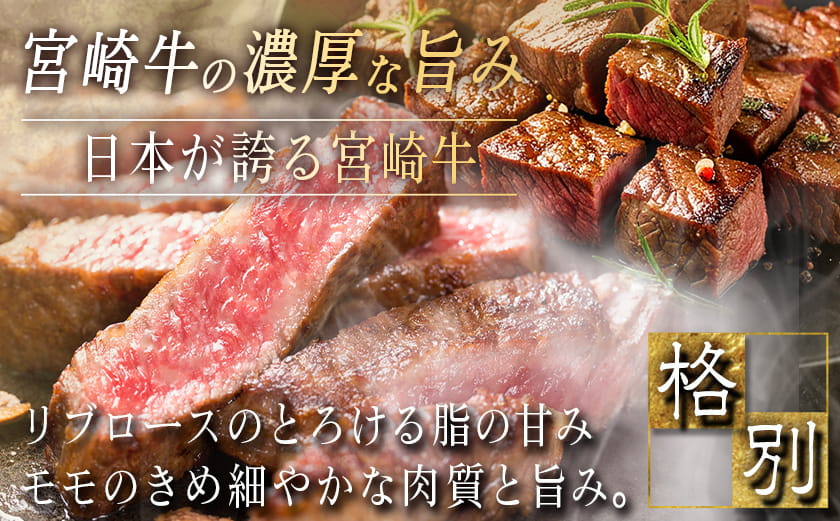 宮崎牛モモ・リブロースステーキ1.2kgセット_AD-2510