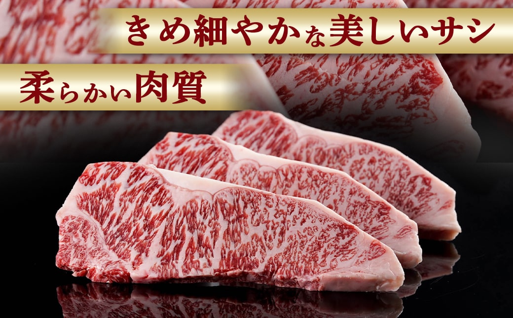 宮崎牛サーロインステーキ200g×3枚_AD-2603