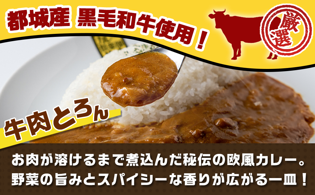 カレー倶楽部ルウ☆厳選ビーフカレー40食セット_AD-2705
