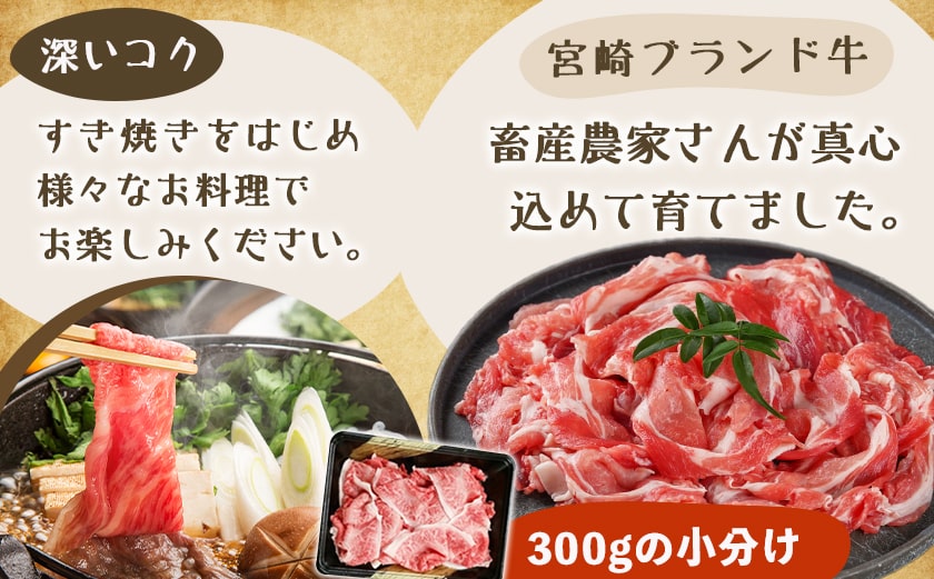 きのこ餃子48個&宮崎牛(A5)霜降り切り落し600g_AD-8701