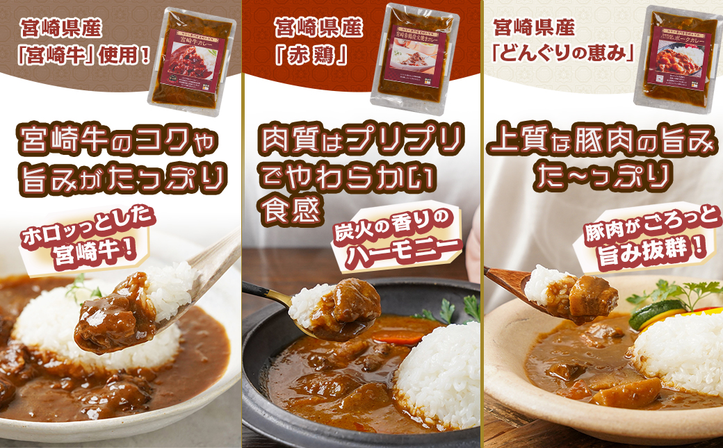 【福袋★2026】カリー専門店☆トプカのオリジナルカレー6種20食セット+2食_AE-J901-F2026