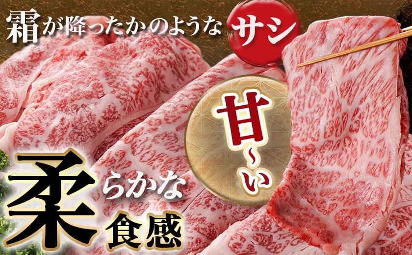 宮崎牛ローススライス(500g×2P)≪みやこんじょ快速便≫_AE-N402-R