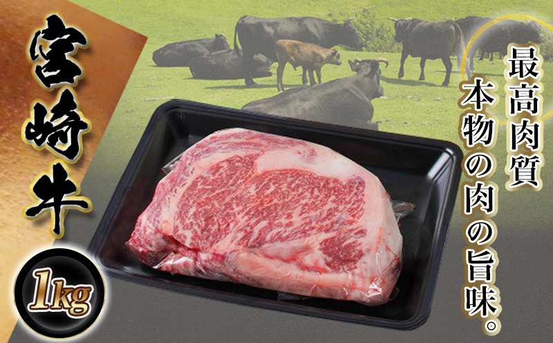 【お歳暮】宮崎牛サーロインブロック1kg≪11月17日～12月21日お届け≫_AF-2501-WG