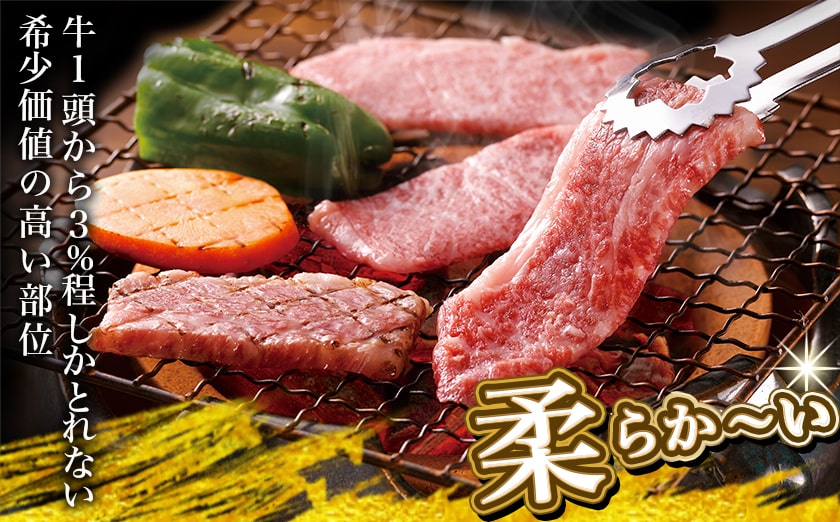 宮崎牛ヒレ焼肉用600g≪みやこんじょ快速便≫_AF-8902-R