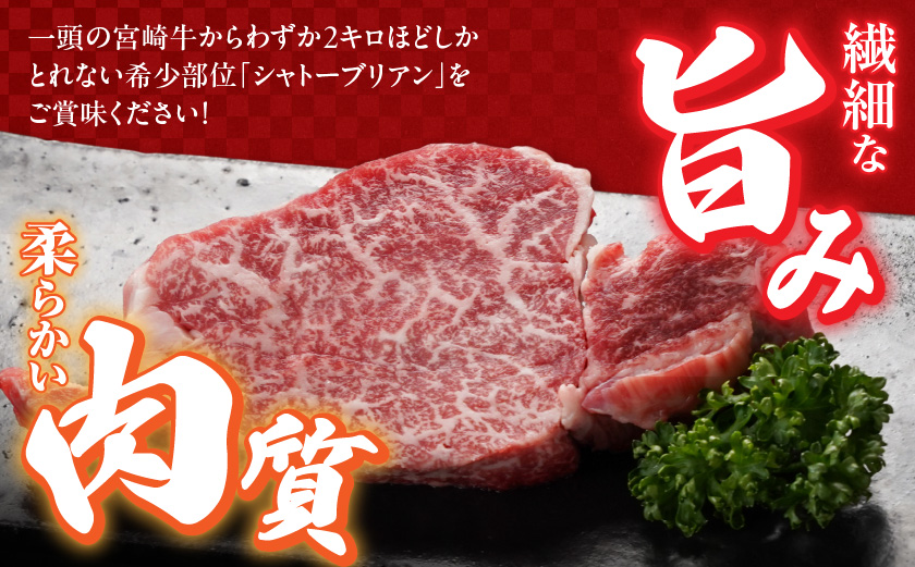 宮崎牛シャトーブリアンステーキ2枚(合計300g)_AG-N301