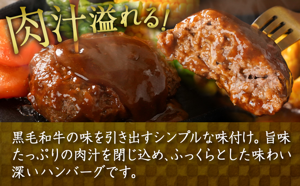 ソースが溢れる黒毛和牛のハンバーグ_AO-7704