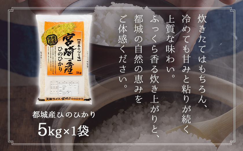 都城産ひのひかり5kg(5kg×1袋)_AO-A701_(都城市) 都城産 お米 5kg ひのひかり
