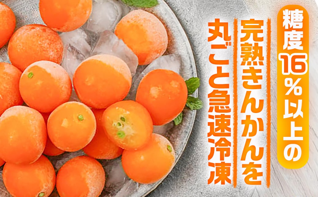内山金柑園のまるかじり氷結きんかん7パック≪みやこんじょ特急便≫_AO-J703-Q