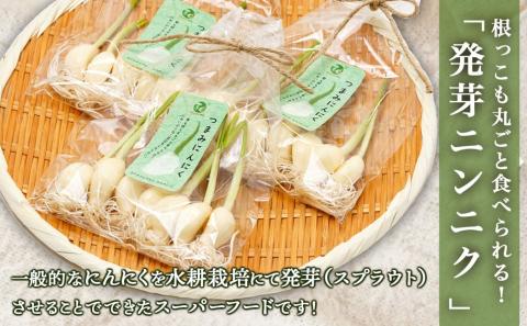 スーパーフード!つまみにんにく 7本入り×3袋※ポスト投函≪みやこんじょ特急便≫_LA-C901-Q