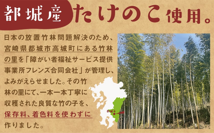 【お試し♪】万能食材☆優しい都城産メンマ※ポスト投函_LB-9204-PF