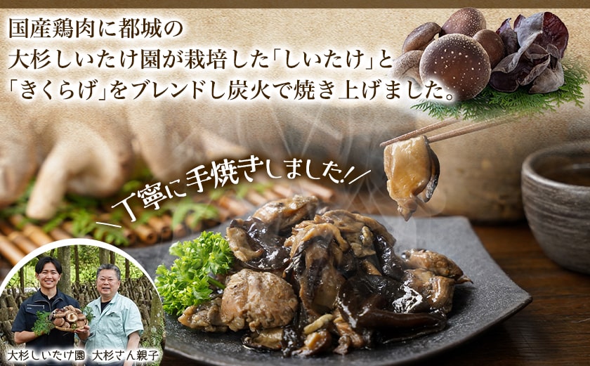 鶏ときのこ炭火焼き100g×5袋※ポスト投函≪みやこんじょ快速便≫_LC-8701-R