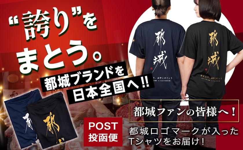 【都城ロゴマーク】Tシャツ※ポスト投函_LD-1502
