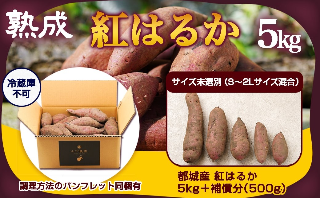 【農家直送】山下農園　熟成紅はるか 5kg_LD-I704