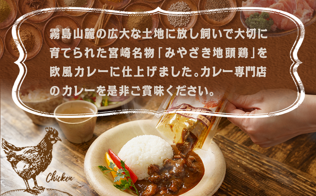 トプカ☆みやざき地頭鶏カレー5食セット※ポスト投函_LD-J901