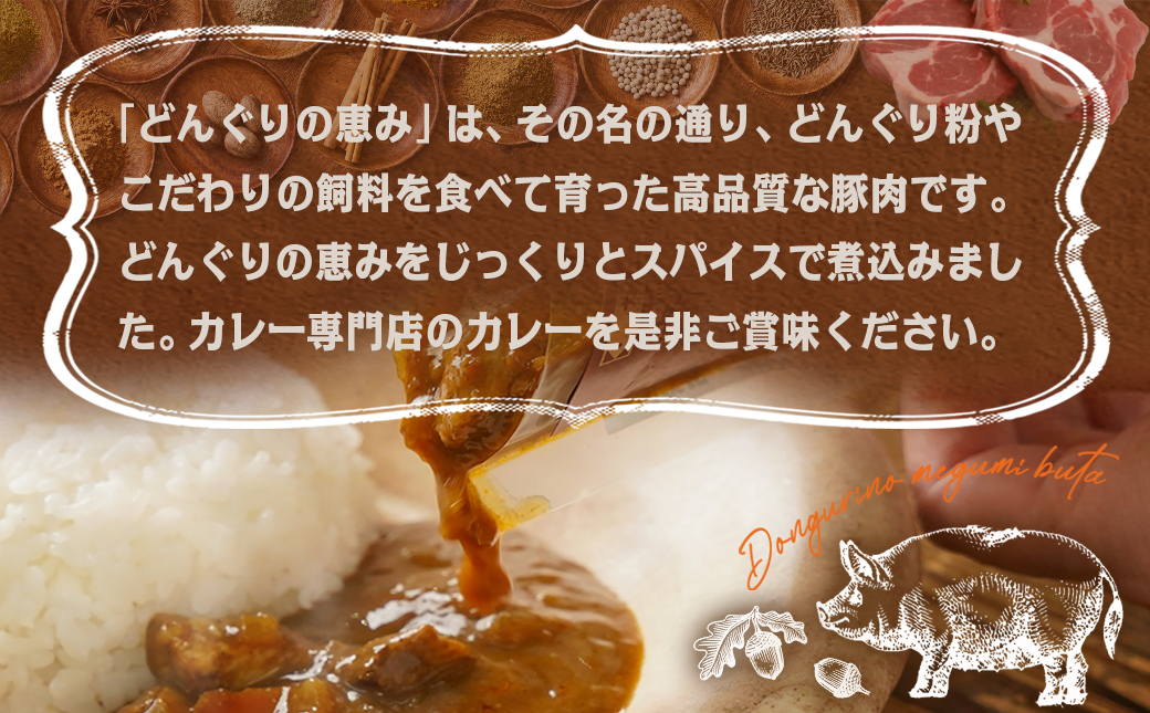 トプカ☆どんぐりの恵みポークカレー5食セット※ポスト投函_LD-J903